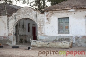 Sancti Petri (Chiclana de la Frontera) | Pepita de Pepón